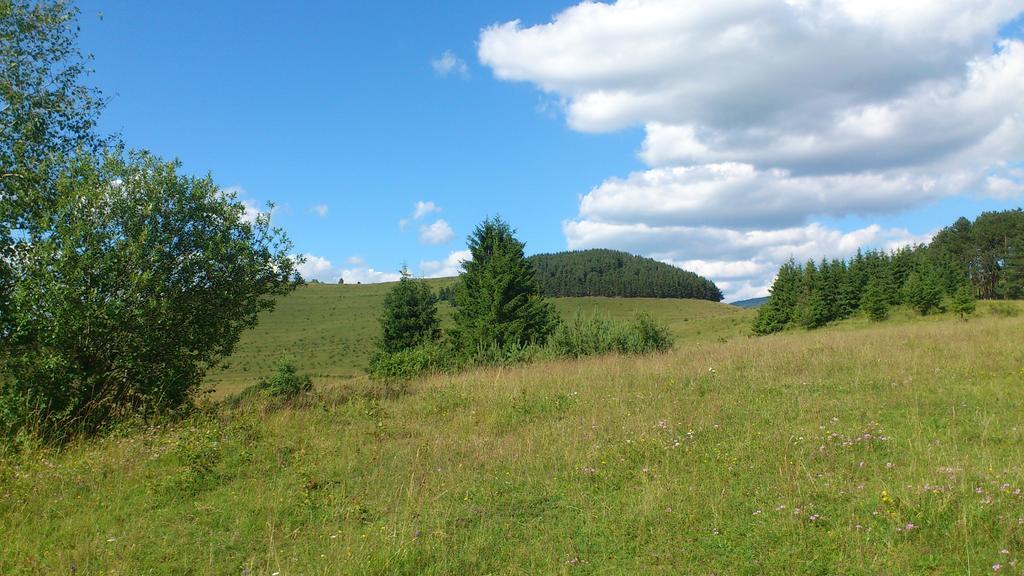 Becze Vanda kulcsosház Lăzarea Exterior foto